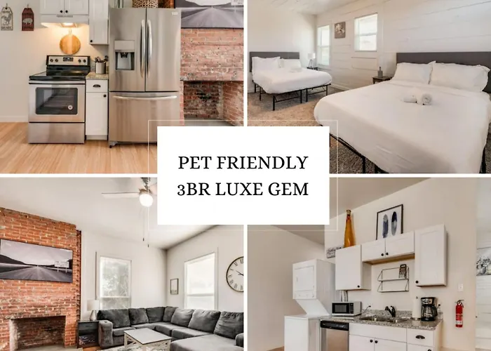 Pet Friendly 3Br 2Bath Luxe Gem